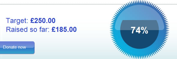 Screengrab from justgiving.com showing how the meter element could be used